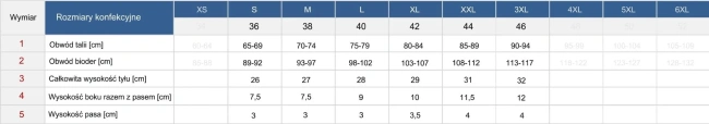 FEBA Strój kąpielowy plus size FG04/903 i figi FD111/903